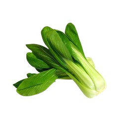 กวางตุ้งฮ่องเต้