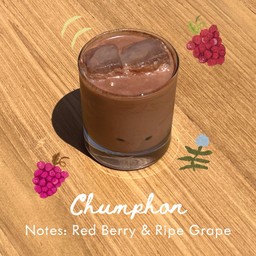 Chumphon Single Origin Cocoa Chocolate (Berry)