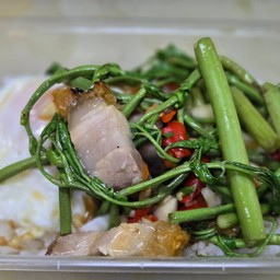 กระเฉด ราดข้าว