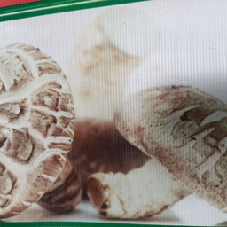 เพิ่ม เห็ดหอม