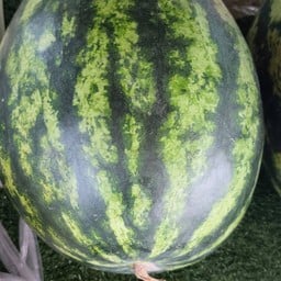 ป่ากล้วย อาหารตามสั่ง