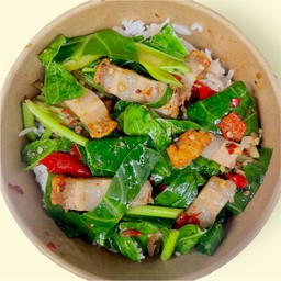 ผัดคะน้า ราดข้าว