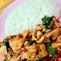 ข้าวกะเพราไก่