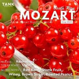 New! Mozart - Light Roast