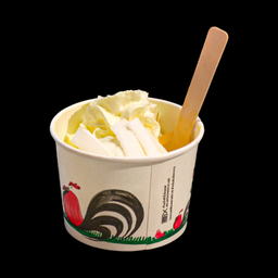 Coconut Ice cream