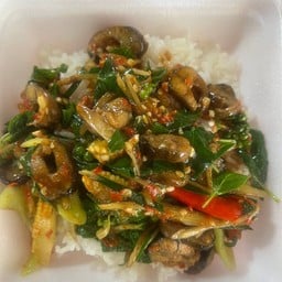 ผัดฉ่าปลาไหล(กับข้าว)