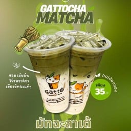 Gatto cha พิษณุโลก