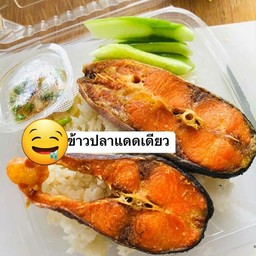 ข้าว ปลาสวาย แดด ทอด
