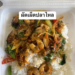 ผัดเผ็ดปลาไหล(กับข้าว)