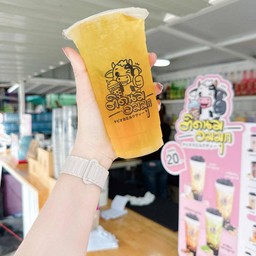 เก๊กฮวย