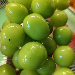 องุ่นไซมัสคัส ( พร้อมทาน )