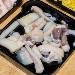 ปลาหมึก