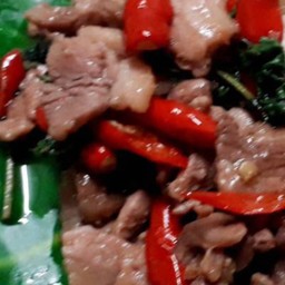 กะเพราสันคอไร้น้ำมันเป็นกับข้าว