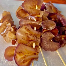 เห็ดหูหนู