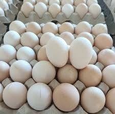 ส้มตำขั้นเทพ (กองพล ๑๐ )