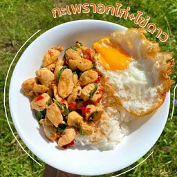 ข้าว กะเพรา ไก่