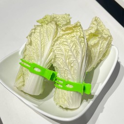 ผักกาดขาว