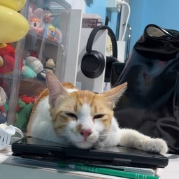 แม่บอกให้เฝ้าลูกค้าแลกเปียกๆ