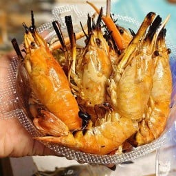 กุ้งติดไม้