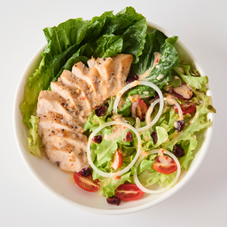 Chicken breast salad
