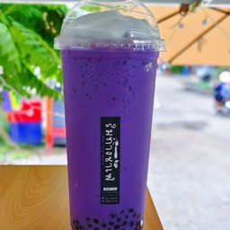 เผือกนมสด