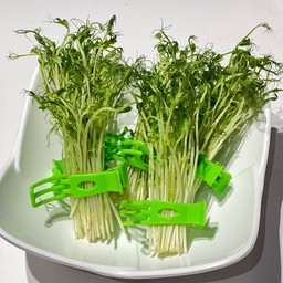 โต้วเหมี่ยว