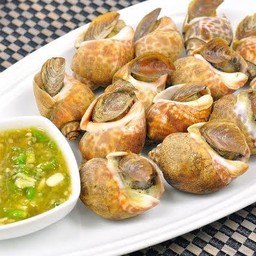 หอยลูกหมาก 1 กิโลกรัม