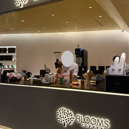 Blooms Coffee  K11 MUSEA