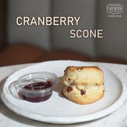 Cranberry Scone