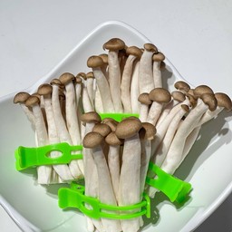 เห็ดชิเมจิ