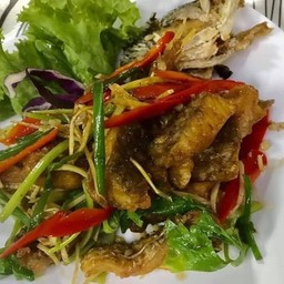 ปลากระพงผัดขึ้นช่าย