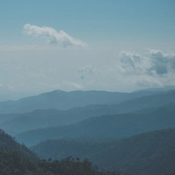 Chiang Mai - Khun Mae Ruam Natural