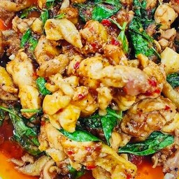 ผัดโหระพาไก่