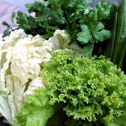 ผักเมี่ยง