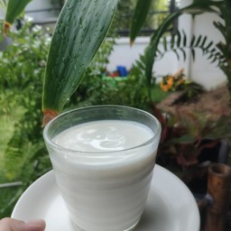 นมสดร้อน