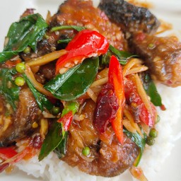 ผัดเผ็ดปลาดุก