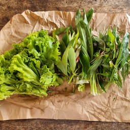 ผักเพิ่ม