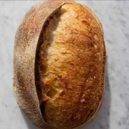 Sourdough Whole Loaf
