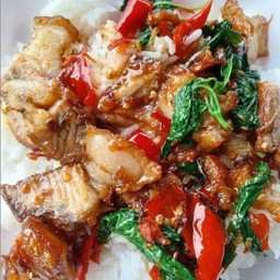 ข้าวกระเพราหมูกรอบ