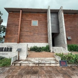 A Bird IS ON A BUFFALO’S Back