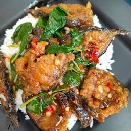 กะเพราปลาดุก