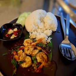 กระเพรากุ้ง (ราดข้าว)