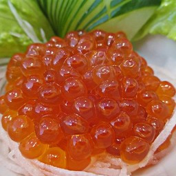 ไข่ปลาแซลมอนดอง ซาชิมิ