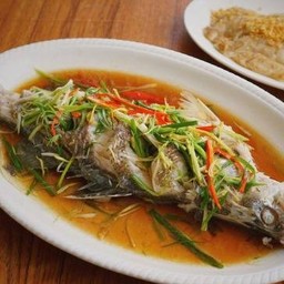 ปลากะพงนึ่งซีอิ๊ว