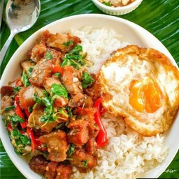 ข้าวราดกระเพราขาหมู