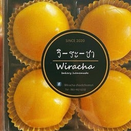 พฤกษากระเพาะปลาเยาวราช หมู่บ้านพฤกษาเขาดิน