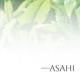 Matcha - Asahi ( New limited stock )