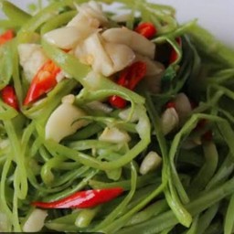 ผัดผักบุ้งฝอย