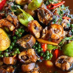 ผัดเผ็ดปลาไหล