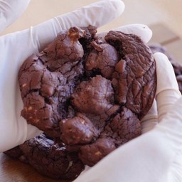 ซอท์ฟคุกกี้บราวนี่มาสเมลโล่